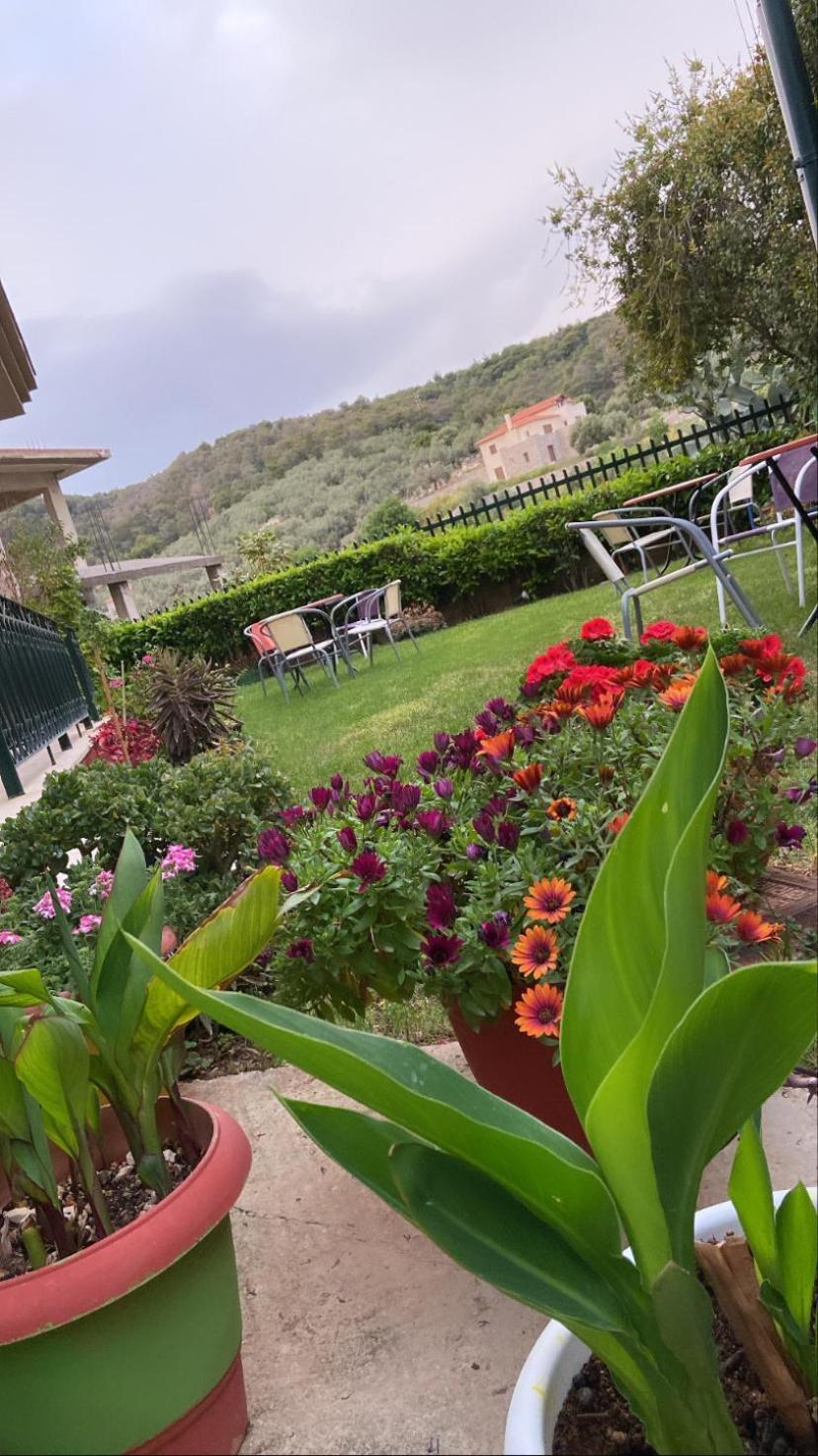 Hotel Marialena Epidaurus Eksteriør bilde